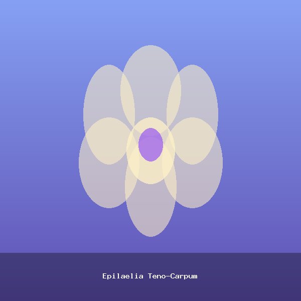 Epilaelia Teno-Carpum