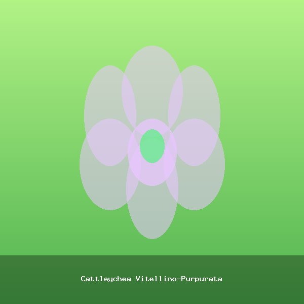 Cattleychea Vitellino-Purpurata