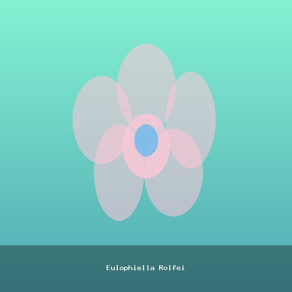 Eulophiella Rolfei
