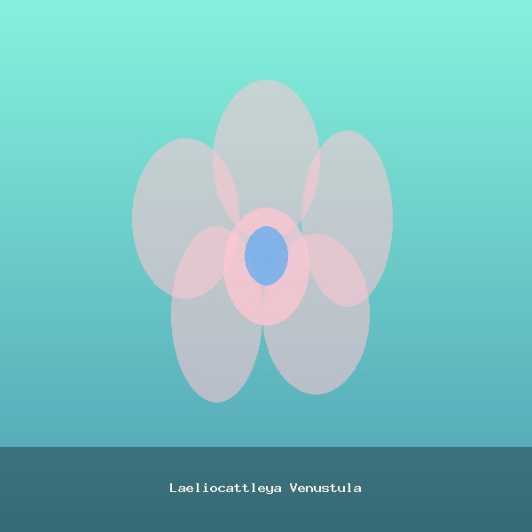 Laeliocattleya Venustula