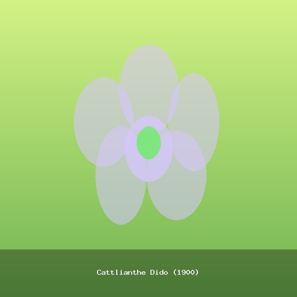 Cattlianthe Dido (1900)