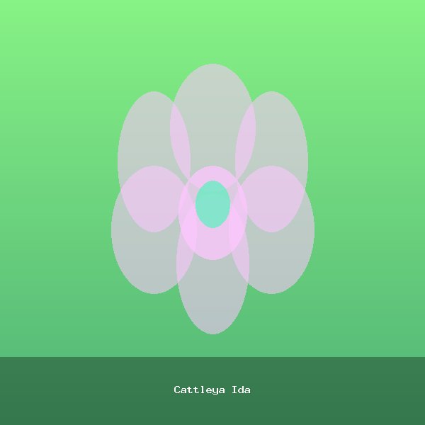 Cattleya Ida
