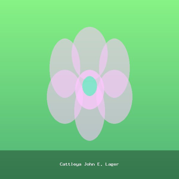 Cattleya John E. Lager