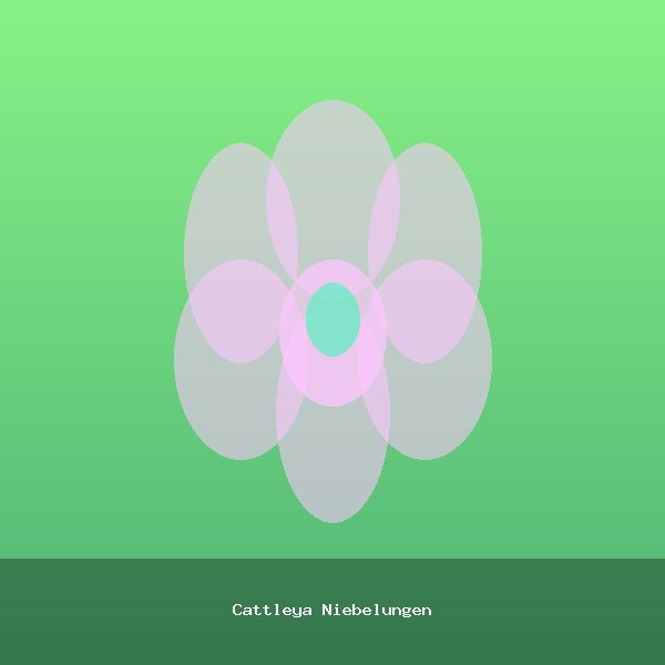 Cattleya Niebelungen