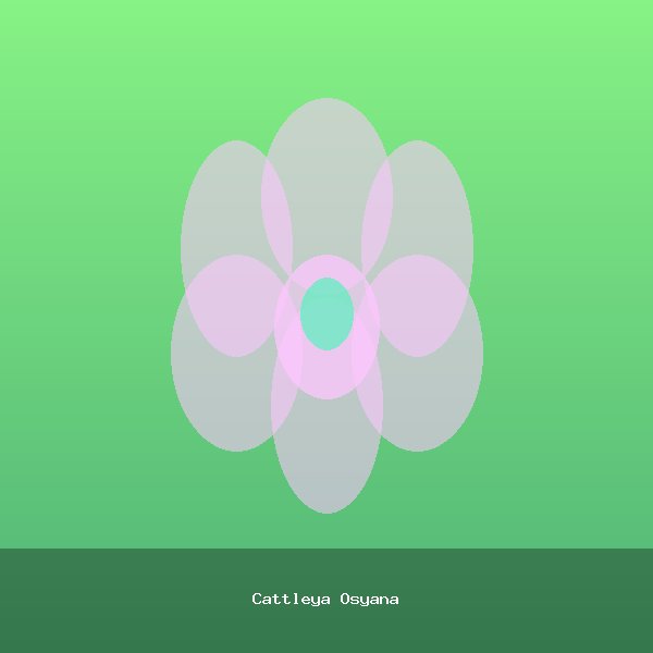 Cattleya Osyana