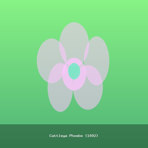 Cattleya Phoebe (1892)