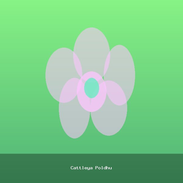 Cattleya Poldhu