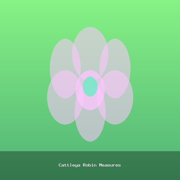 Cattleya Robin Measures
