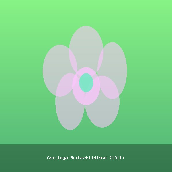 Cattleya Rothschildiana (1911)