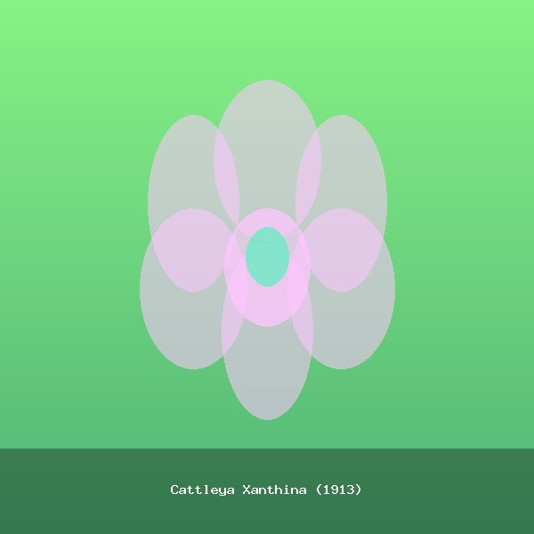 Cattleya Xanthina (1913)