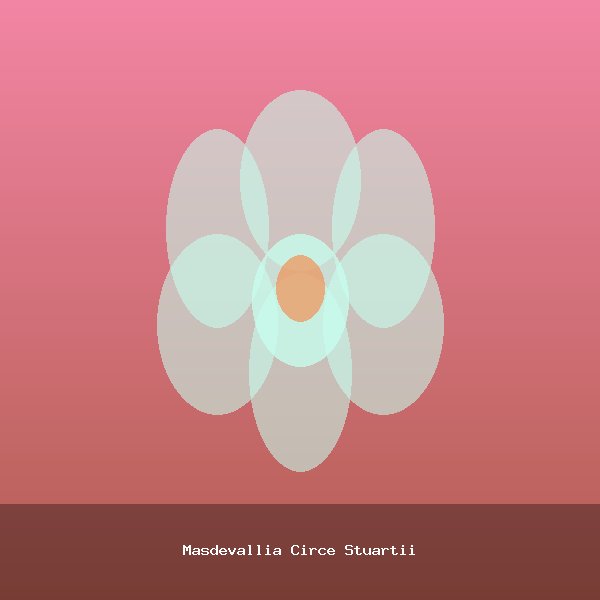 Masdevallia Circe Stuartii