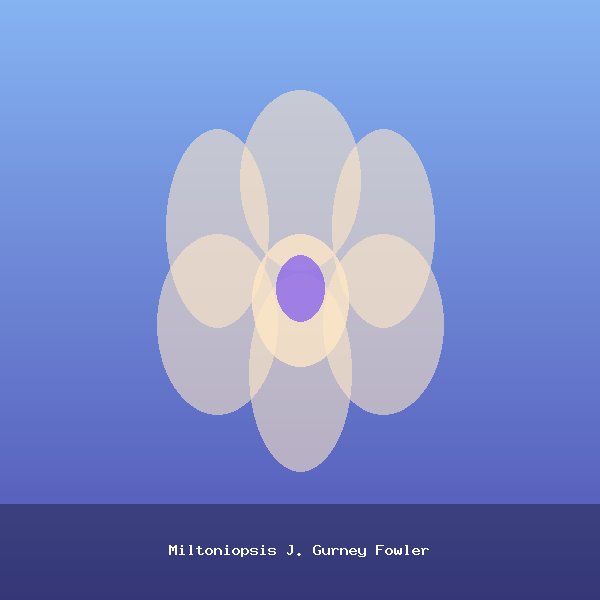 Miltoniopsis J. Gurney Fowler