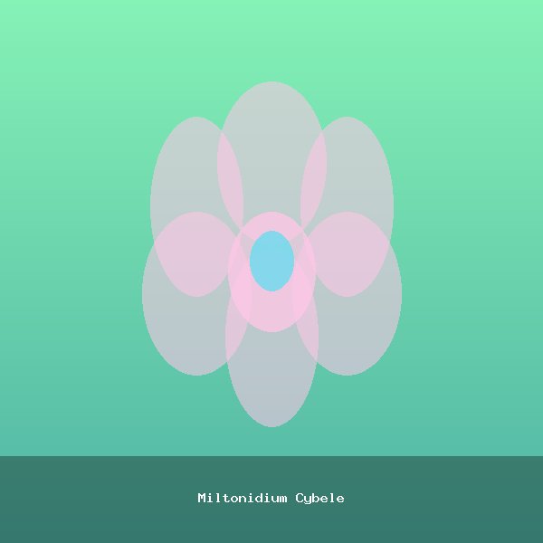 Miltonidium Cybele