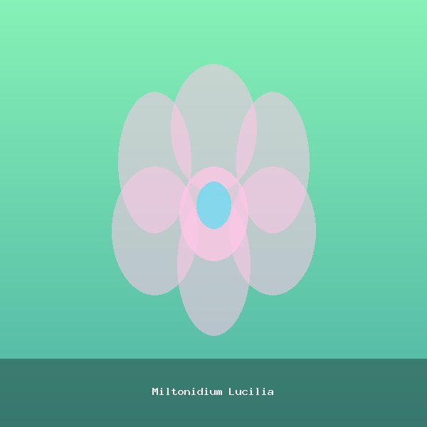 Miltonidium Lucilia