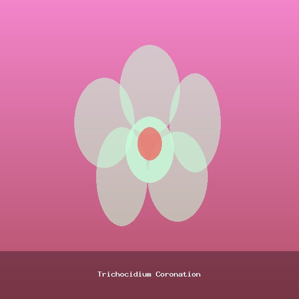 Trichocidium Coronation