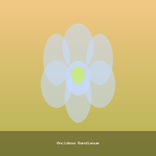 Oncidesa Bandianum
