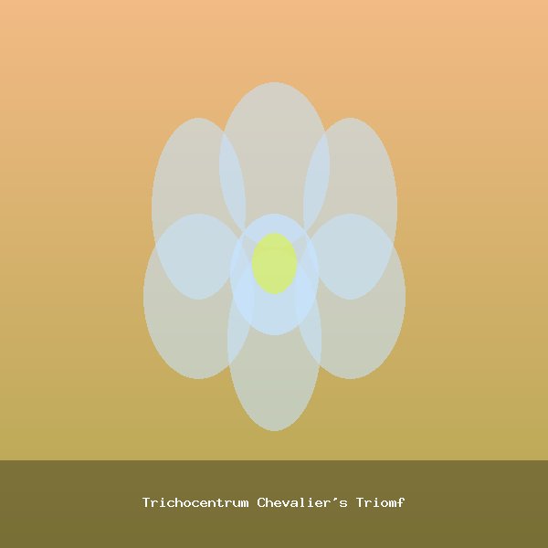 Trichocentrum Chevalier's Triomf