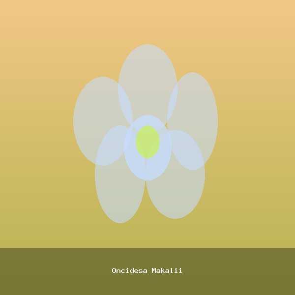 Oncidesa Makalii