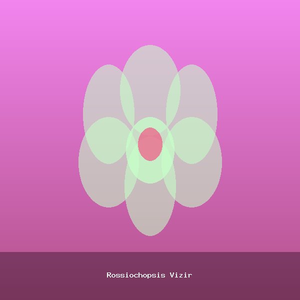 Rossiochopsis Vizir