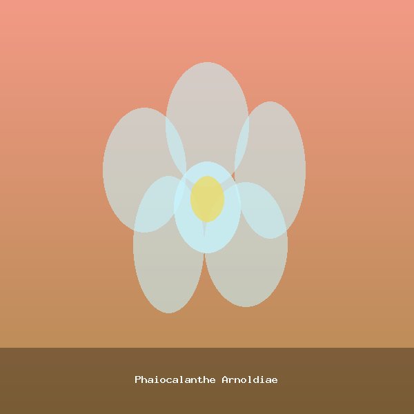 Phaiocalanthe Arnoldiae