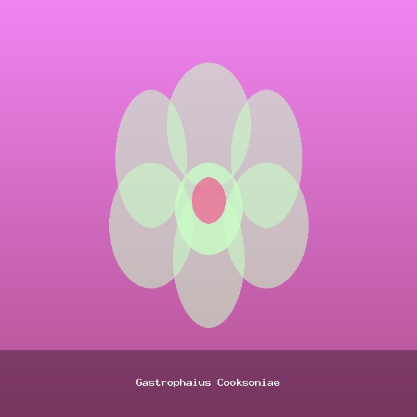 Gastrophaius Cooksoniae