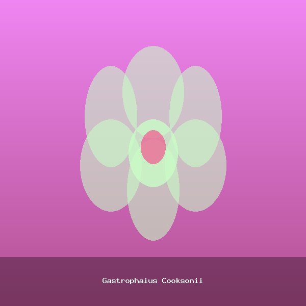Gastrophaius Cooksonii