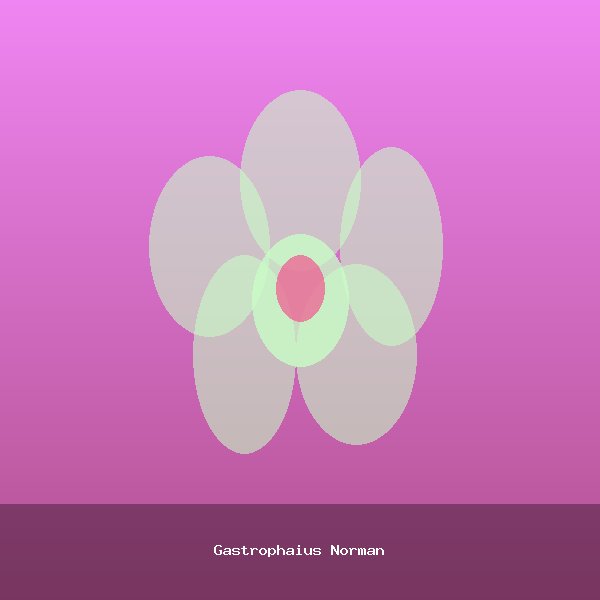 Gastrophaius Norman
