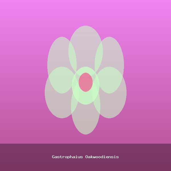 Gastrophaius Oakwoodiensis