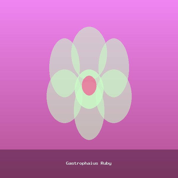 Gastrophaius Ruby