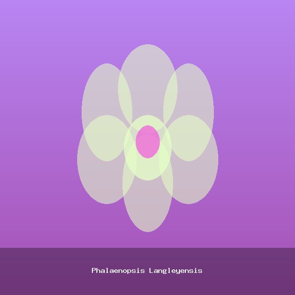 Phalaenopsis Langleyensis
