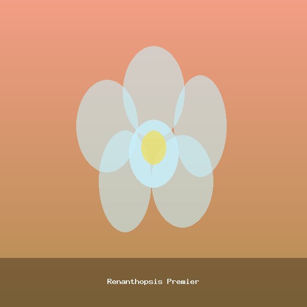 Renanthopsis Premier
