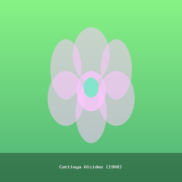 Cattleya Alcides (1908)