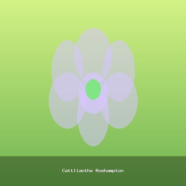 Cattlianthe Roehampton