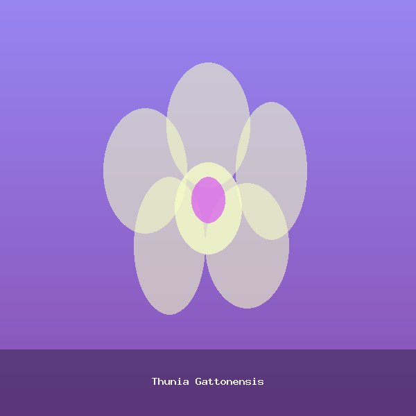 Thunia Gattonensis