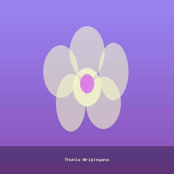 Thunia Wrigleyana