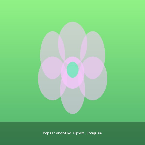 Papilionanthe Agnes Joaquim