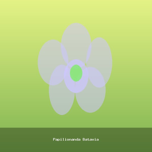 Papilionanda Batavia
