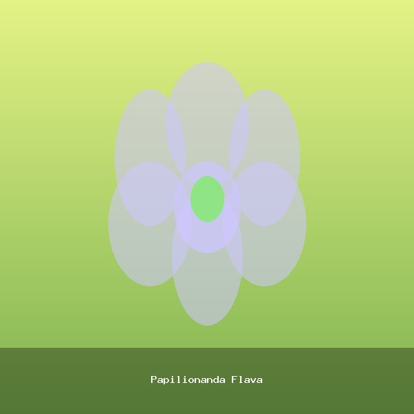 Papilionanda Flava
