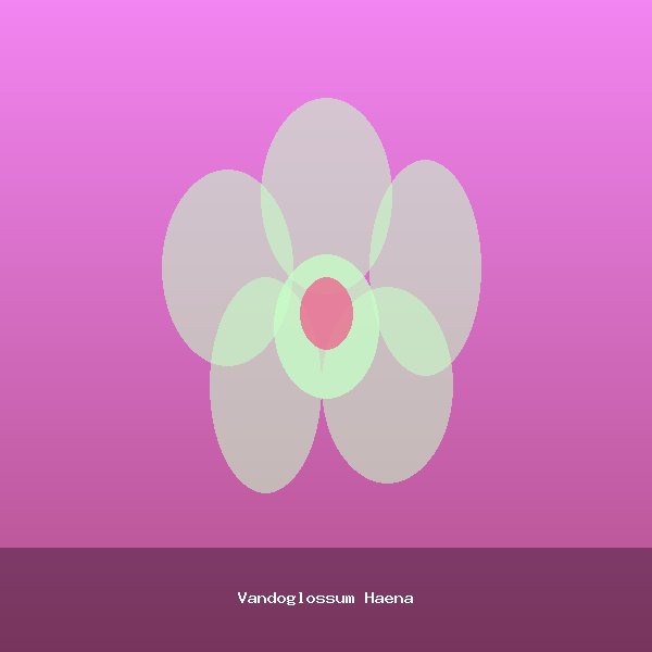 Vandoglossum Haena