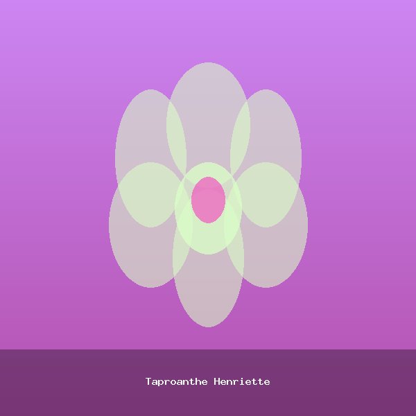 Taproanthe Henriette