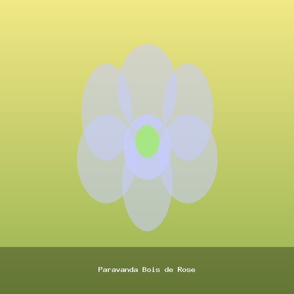 Paravanda Bois de Rose