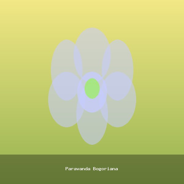 Paravanda Bogoriana