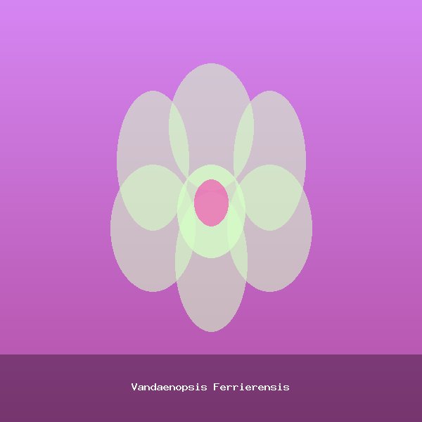 Vandaenopsis Ferrierensis