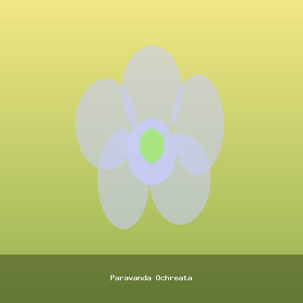 Paravanda Ochreata