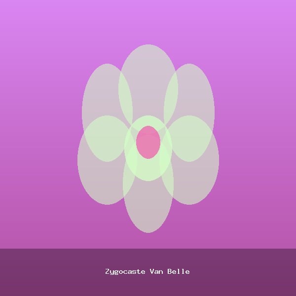 Zygocaste Van Belle