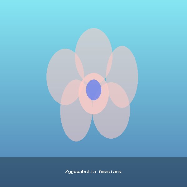Zygopabstia Amesiana