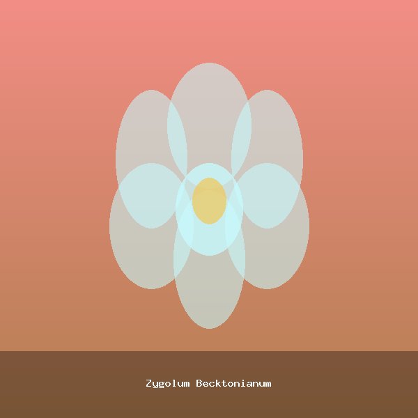 Zygolum Becktonianum
