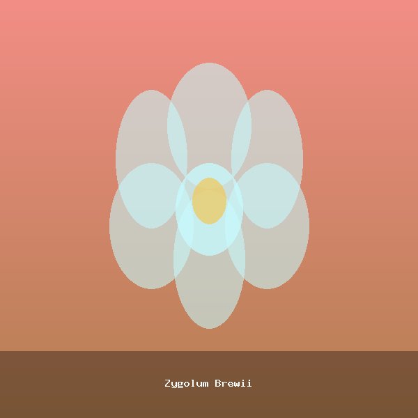 Zygolum Brewii