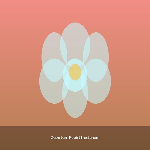Zygolum Roeblingianum