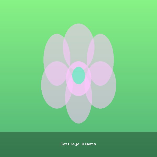 Cattleya Almata